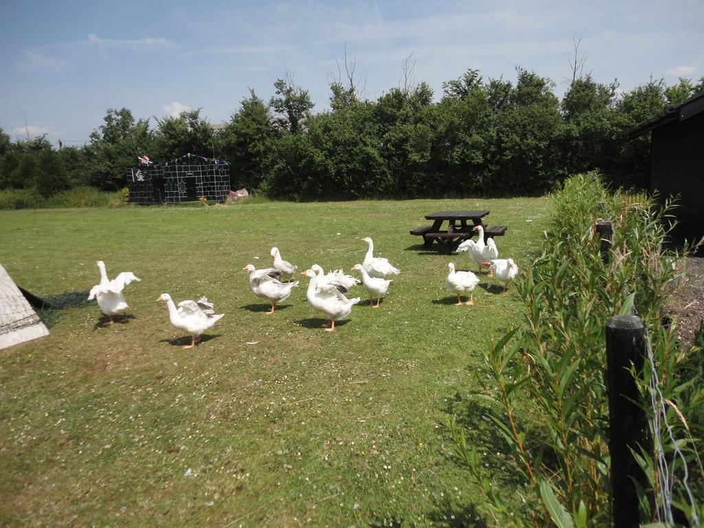 Willow Court Farm The Lodge & Petting Farm, 8 Mins From Legoland & Windsor, 15 Mins From Lapland Uk エクステリア 写真