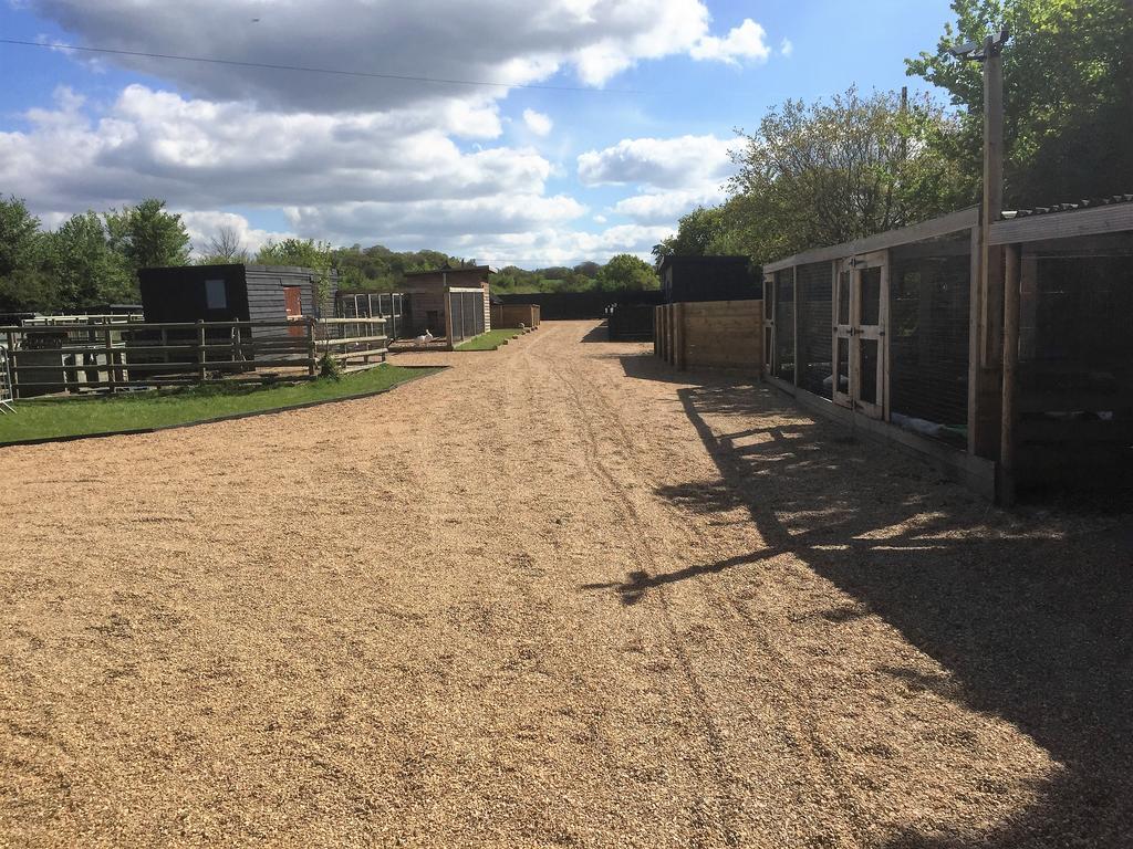 Willow Court Farm The Lodge & Petting Farm, 8 Mins From Legoland & Windsor, 15 Mins From Lapland Uk エクステリア 写真