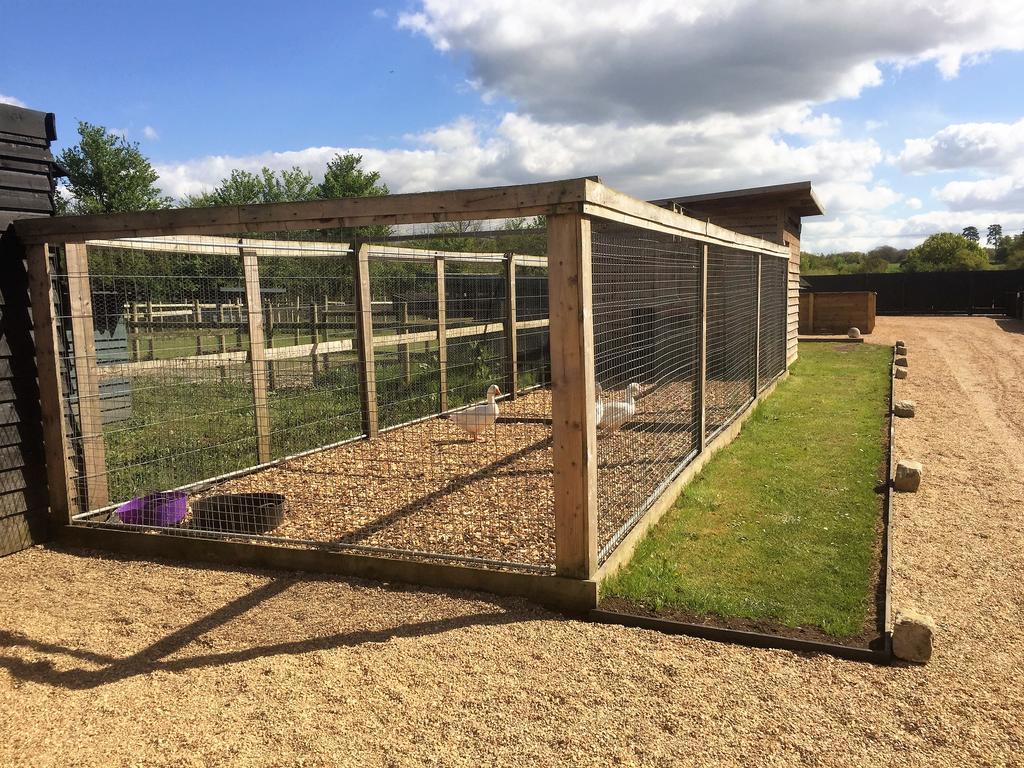 Willow Court Farm The Lodge & Petting Farm, 8 Mins From Legoland & Windsor, 15 Mins From Lapland Uk エクステリア 写真