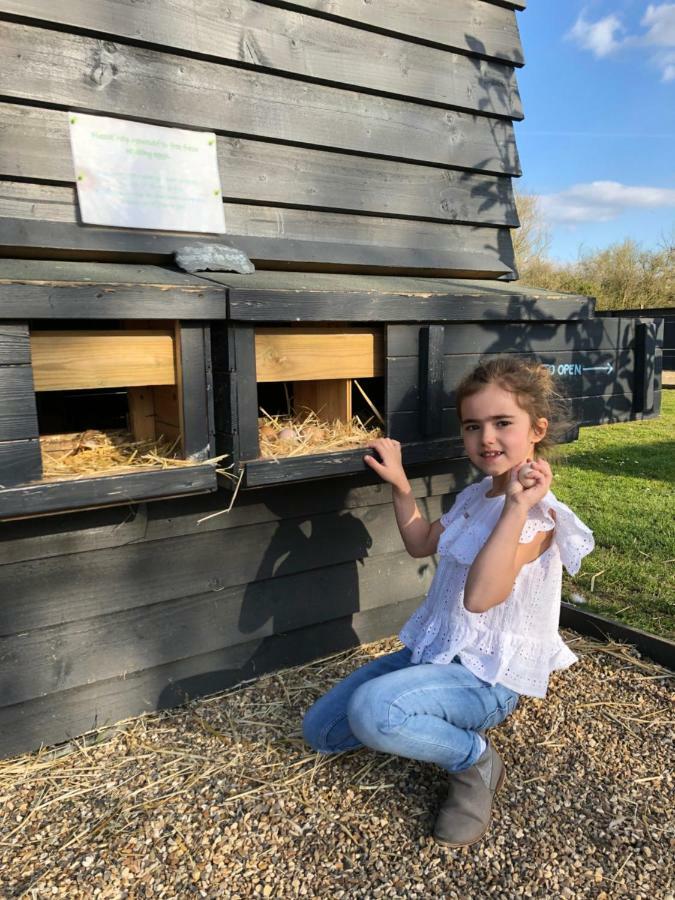 Willow Court Farm The Lodge & Petting Farm, 8 Mins From Legoland & Windsor, 15 Mins From Lapland Uk エクステリア 写真