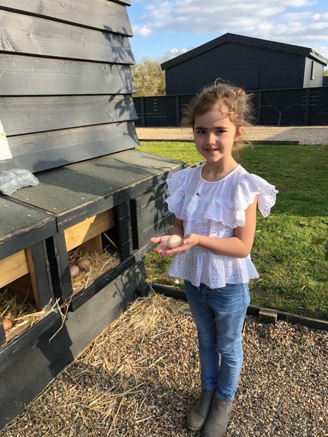 Willow Court Farm The Lodge & Petting Farm, 8 Mins From Legoland & Windsor, 15 Mins From Lapland Uk エクステリア 写真
