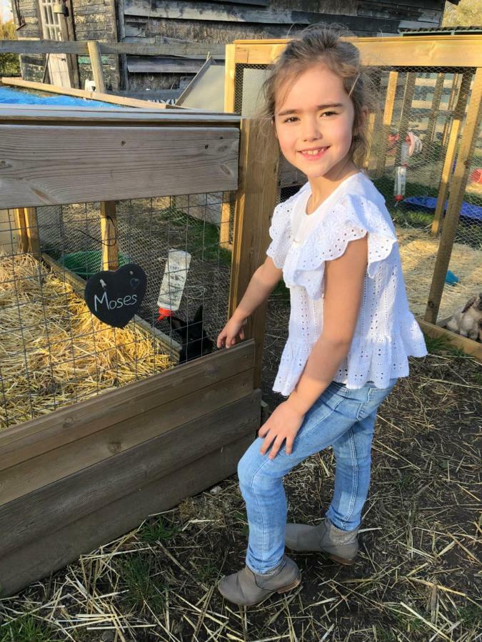 Willow Court Farm The Lodge & Petting Farm, 8 Mins From Legoland & Windsor, 15 Mins From Lapland Uk エクステリア 写真