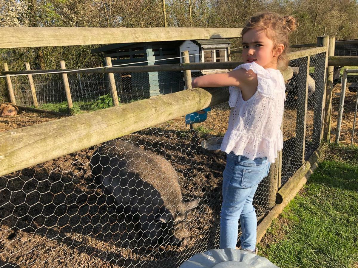 Willow Court Farm The Lodge & Petting Farm, 8 Mins From Legoland & Windsor, 15 Mins From Lapland Uk エクステリア 写真